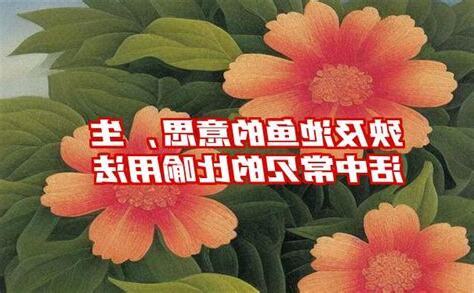 殃及 意思